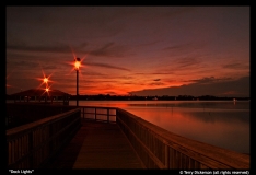 Terry Dickerson-Dock Lights