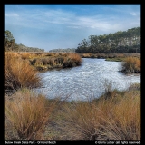 Bulow-Creek-S.P.-Gloria-Lotzer