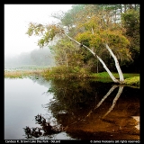 Lake-Dias-Park-James-Hoolsema