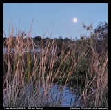 Lake-Woodruff-Anthony-Ehrlich