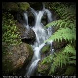 Rainbow-Springs-S.P.-Judy-Speno