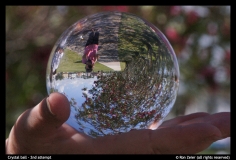 Ron Zeier-crystal ball