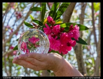 Lucie Lachance-crystal ball