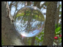 Rick Seiler-crystal ball