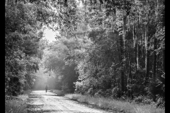 Adelet Kegley-Country Road near Pierson