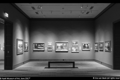 Ans van Beek-Cici and Hyatt Brown Museum of Art