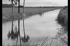 Michele Sweeters- Lake Woodruff National Wildlife Refuge