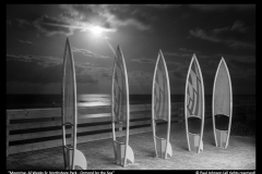 Paul Johnson-Moonrise-Al Weeks Sr. North Shore Park-Ormond-by-the-Sea