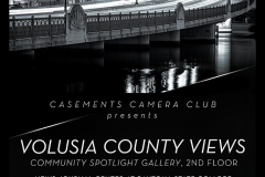 Volusia County Views flyer